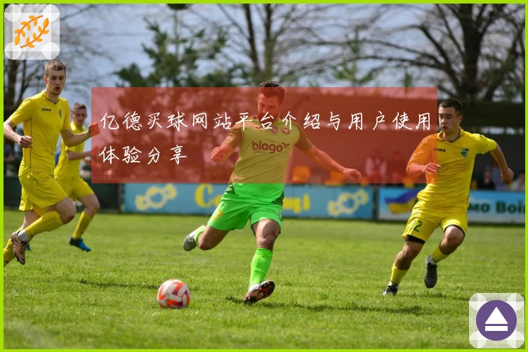 亿德买球网站平台介绍与用户使用体验分享