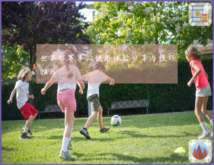 世界杯赛事站使用体验分享与技巧推荐