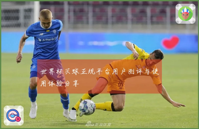 世界杯买球正规平台用户测评与使用体验分享