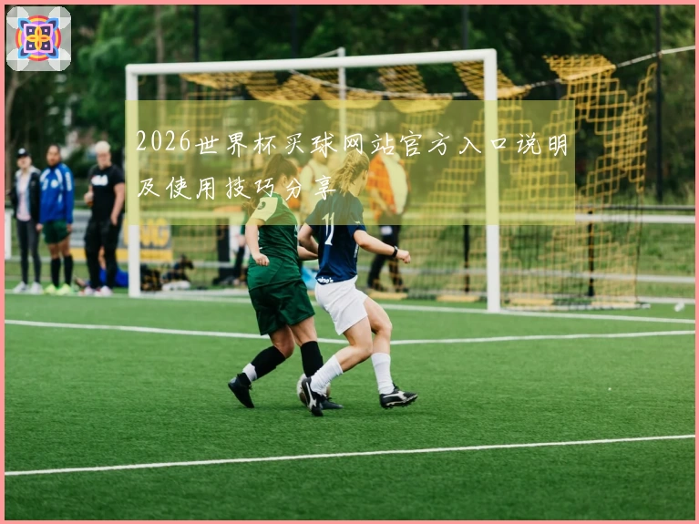 2026世界杯买球网站官方入口说明及使用技巧分享