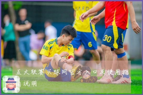 五大联赛买球网官方入口及使用指南说明