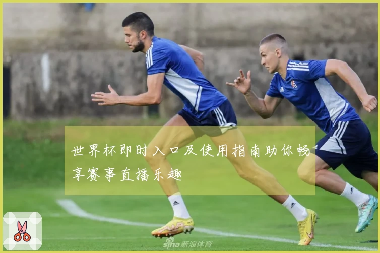 世界杯即时入口及使用指南助你畅享赛事直播乐趣