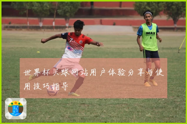世界杯买球网站用户体验分享与使用技巧指导