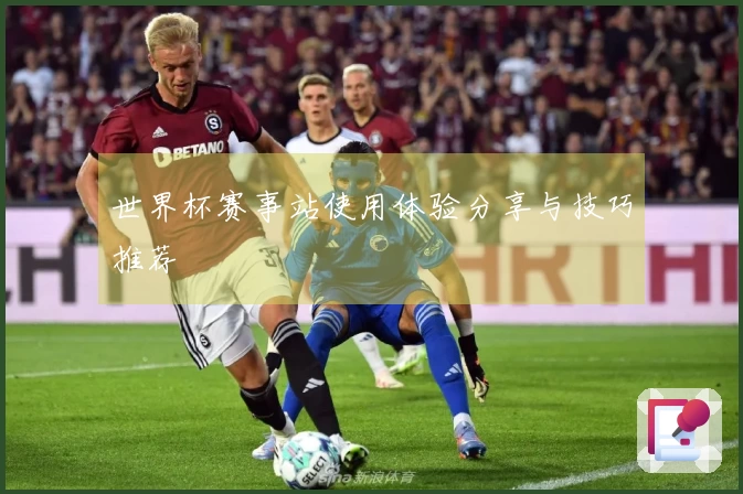 世界杯赛事站使用体验分享与技巧推荐