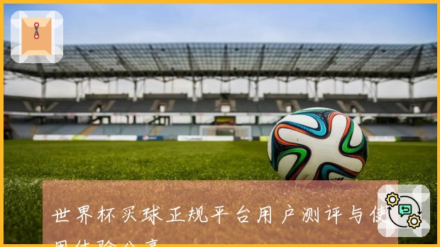 世界杯买球正规平台用户测评与使用体验分享