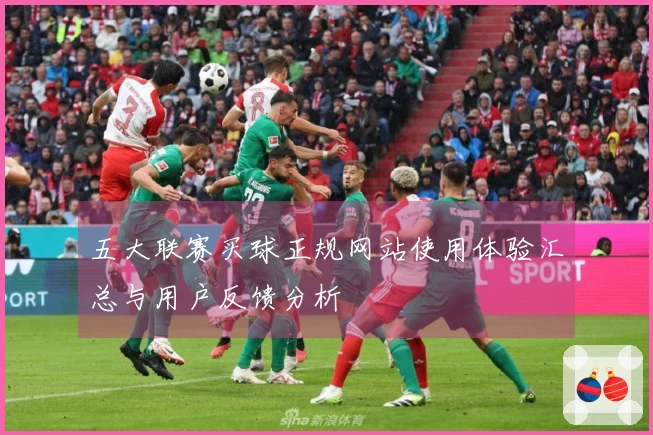 五大联赛买球正规网站使用体验汇总与用户反馈分析